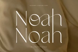 Noah Font