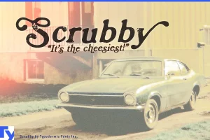 Scrubby Font