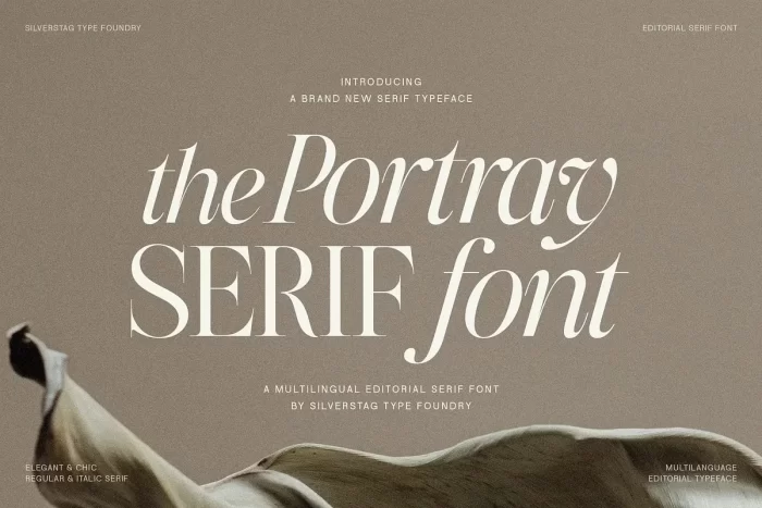 The Portray Font