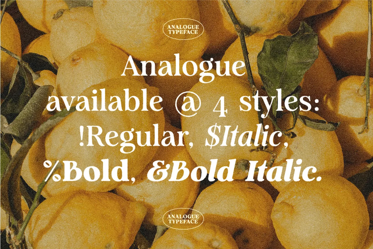 Analogue font style preview