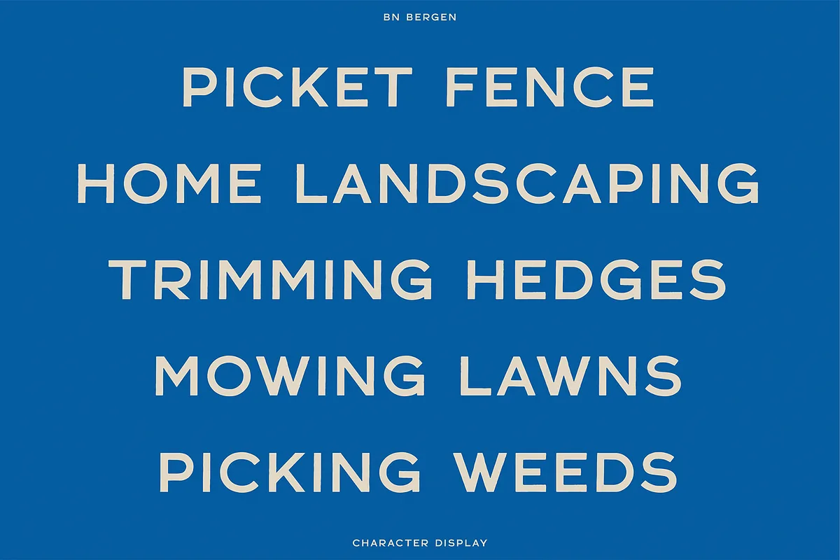 BN Bergen Font BN Bergen font preview — sample text