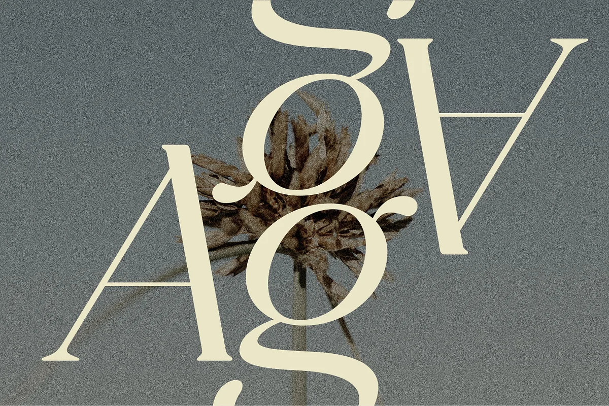 Celine font alphabet, numbers and glyphs