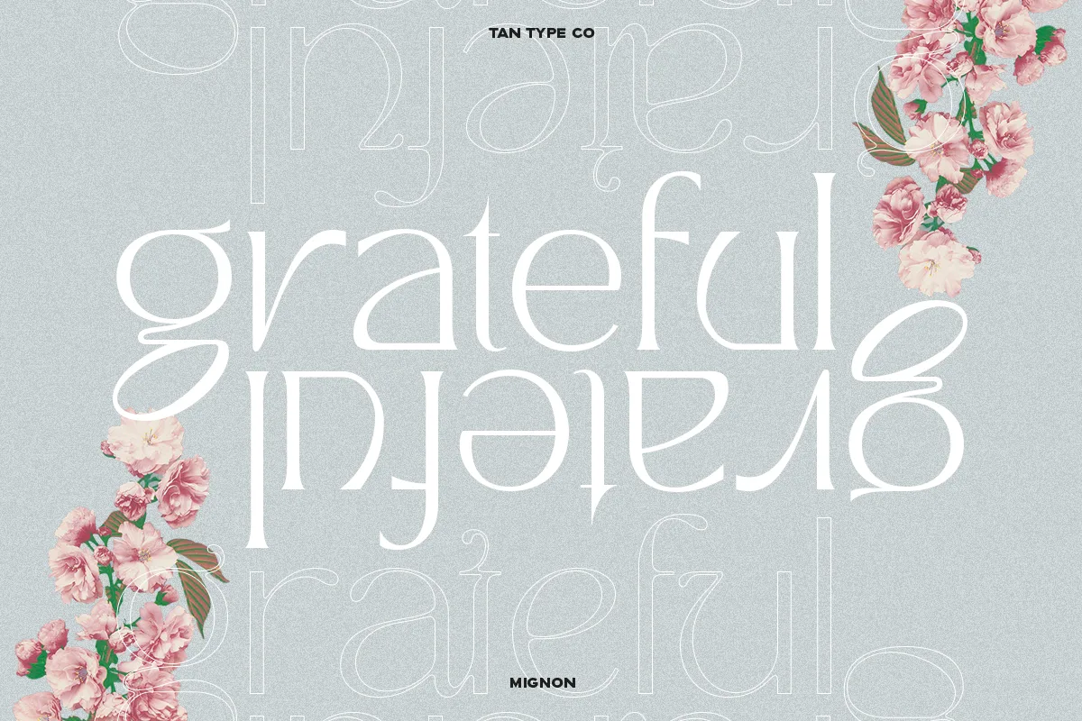 Tan Mignon Font Tan Mignon font alphabet, numbers and glyphs