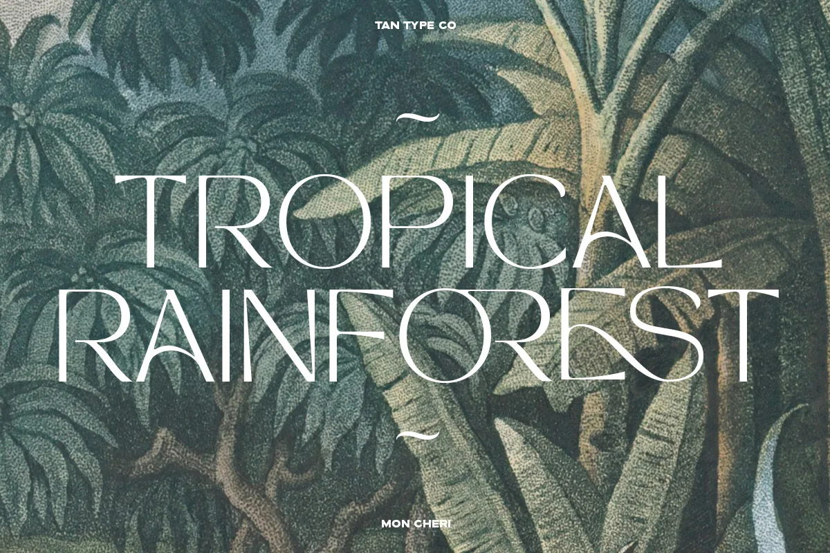 Tan Mon Cheri font alphabet, numbers and glyphs