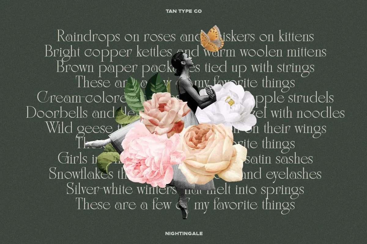 Tan Nightingale font style preview