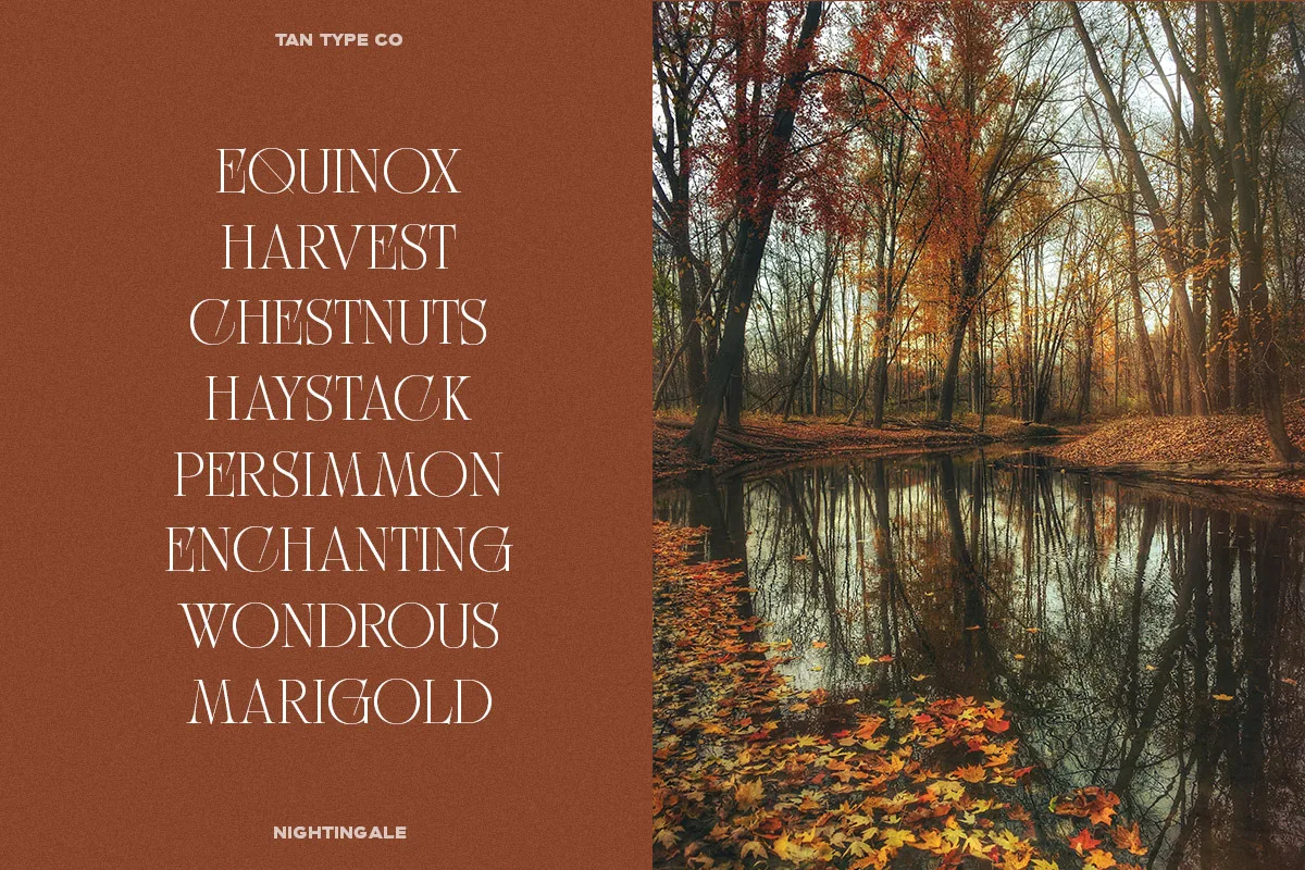Tan Nightingale font used in a design mockup