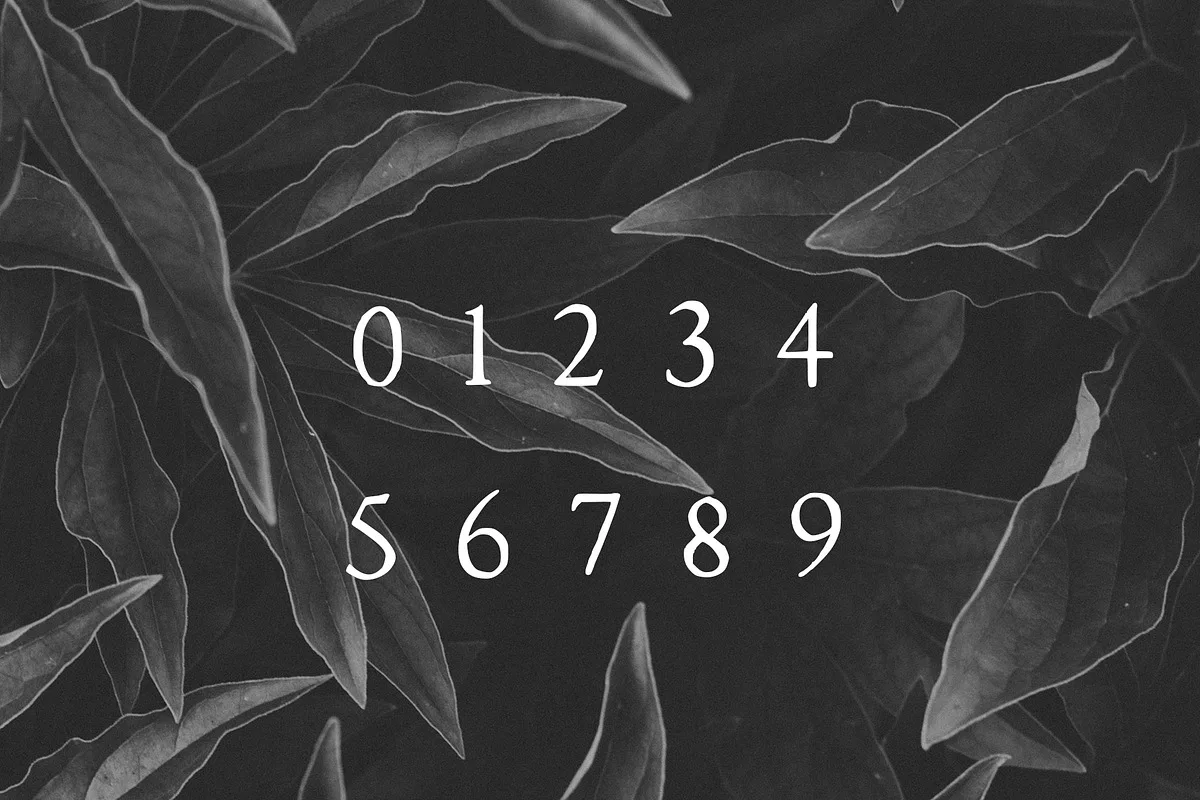 Walker font preview — sample text