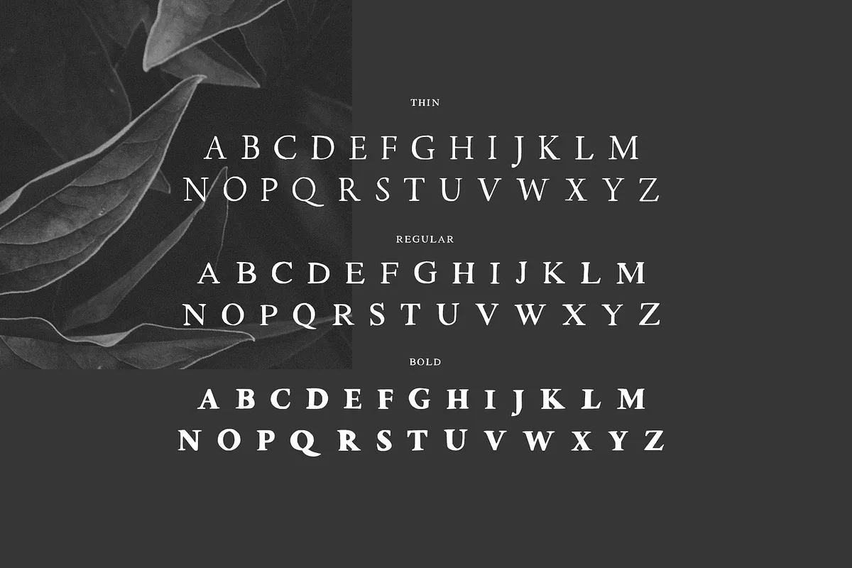 Walker font style preview