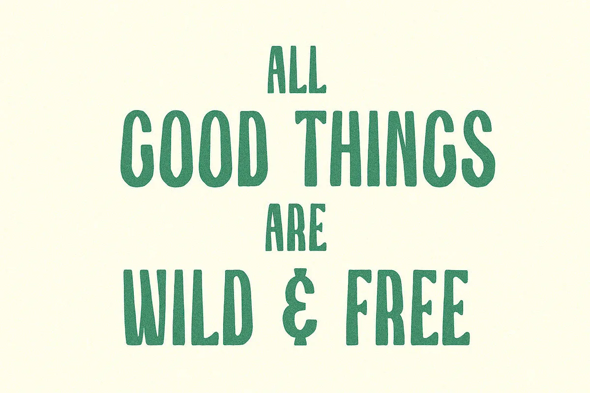Wawa font preview — sample text