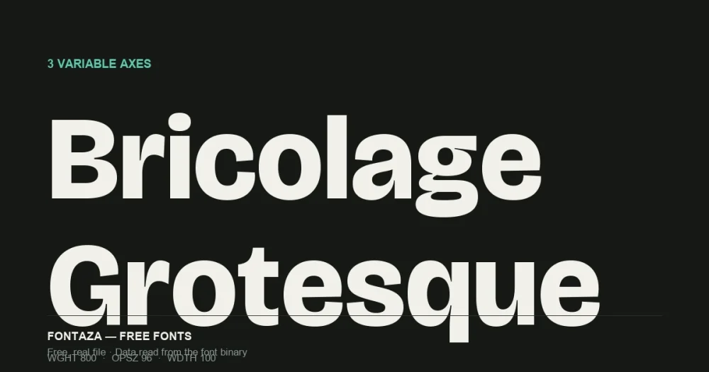 Bricolage Grotesque Font cover image